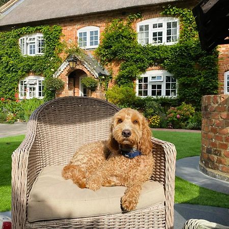 Little Woodside A Beautiful New Forest Self Contained Private Luxury Annexe New Milton Exterior photo